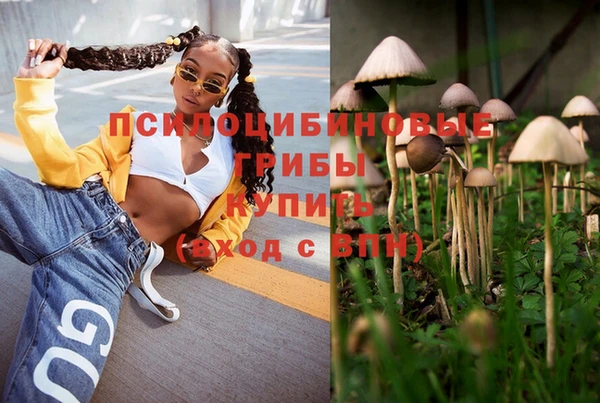 PSILOCYBIN Белокуриха