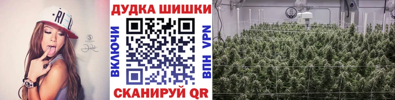 Шишки марихуана Amnesia Бор