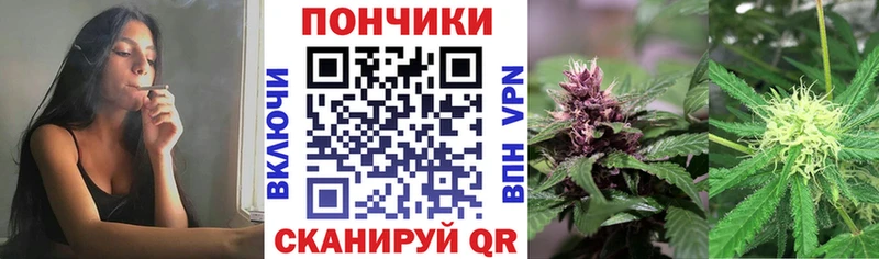 Канабис SATIVA & INDICA  Бор 